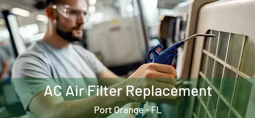 AC Air Filter Replacement Port Orange - FL