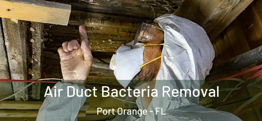 Air Duct Bacteria Removal Port Orange - FL