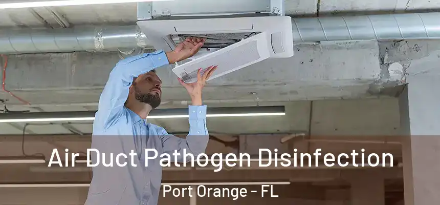 Air Duct Pathogen Disinfection Port Orange - FL