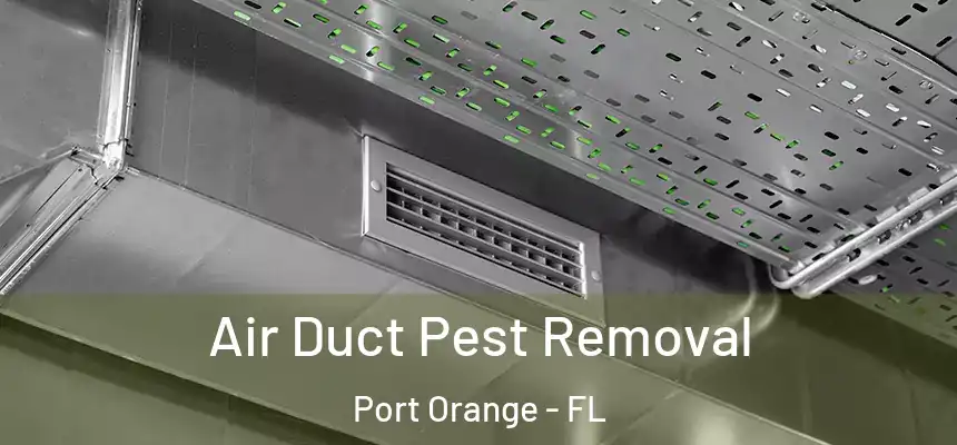  Air Duct Pest Removal Port Orange - FL