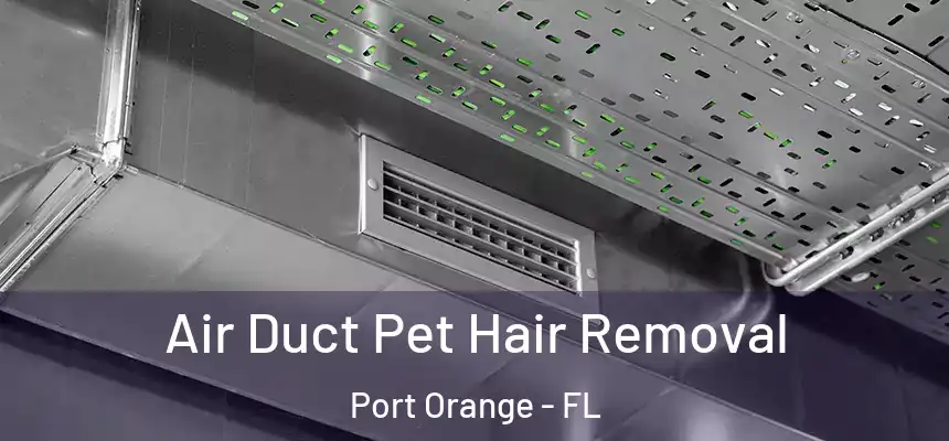  Air Duct Pet Hair Removal Port Orange - FL