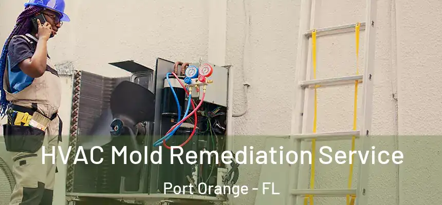 HVAC Mold Remediation Service Port Orange - FL