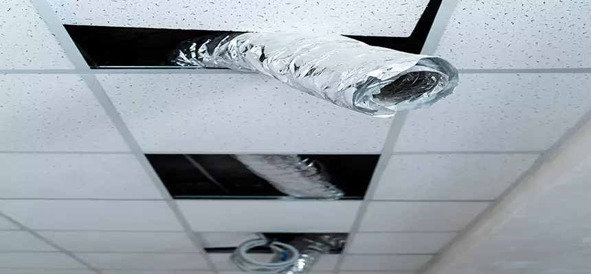 Affordable HVAC Sanitizing After Pest Removal in Port Orange