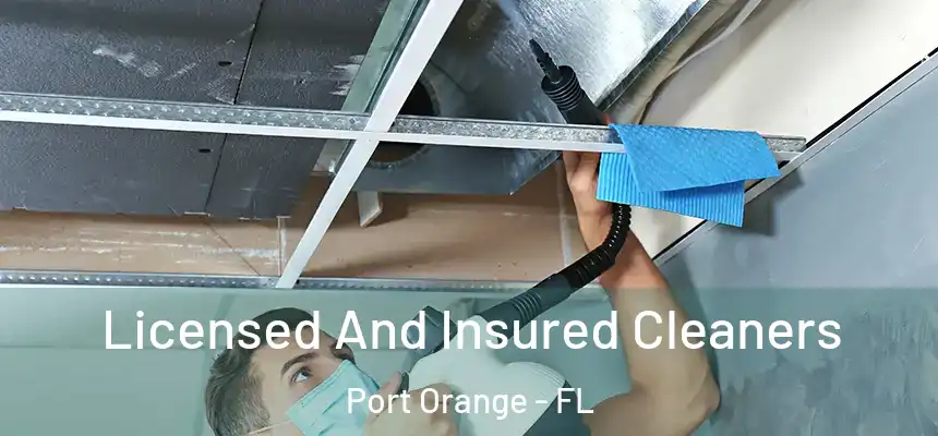 Licensed And Insured Cleaners Port Orange - FL