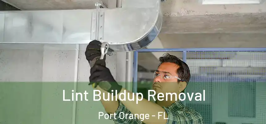 Lint Buildup Removal Port Orange - FL