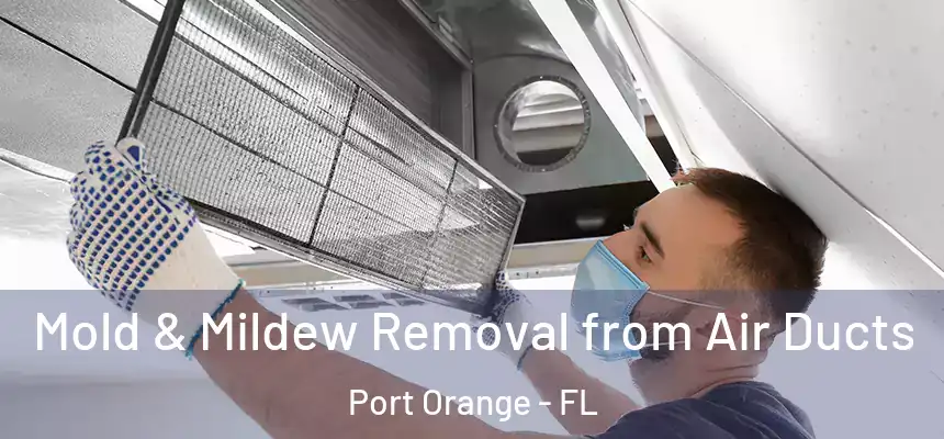 Mold & Mildew Removal from Air Ducts Port Orange - FL
