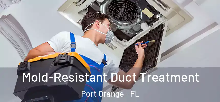  Mold-Resistant Duct Treatment Port Orange - FL