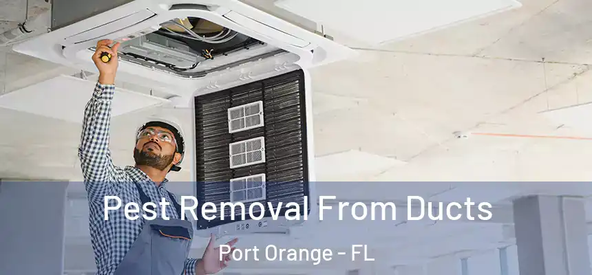 Pest Removal From Ducts Port Orange - FL