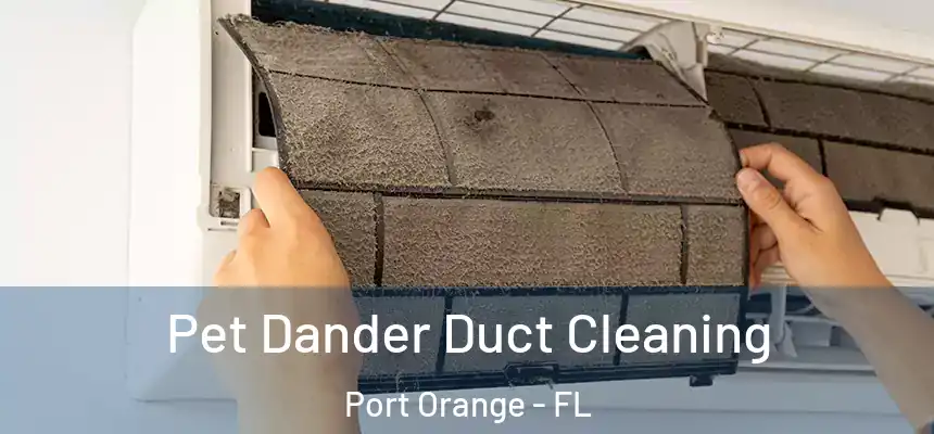 Pet Dander Duct Cleaning Port Orange - FL