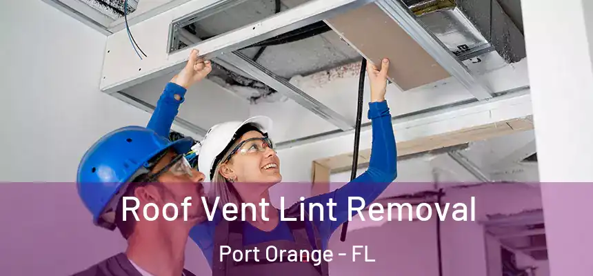 Roof Vent Lint Removal Port Orange - FL