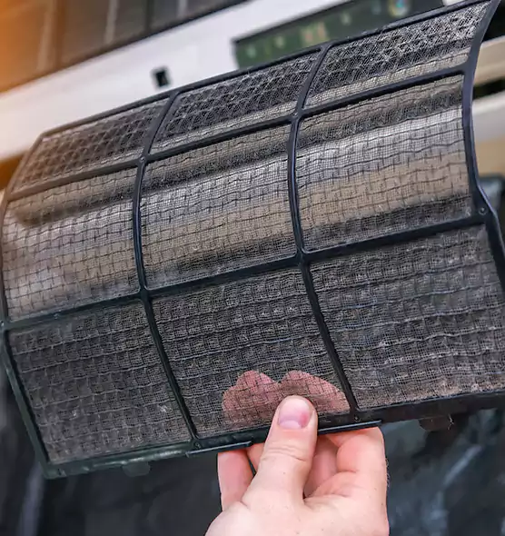 About Pet Dander Duct Cleaning in Port Orange, FL